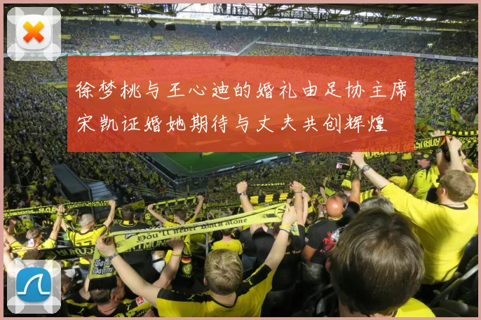 徐梦桃与王心迪的婚礼由足协主席宋凯证婚她期待与丈夫共创辉煌
